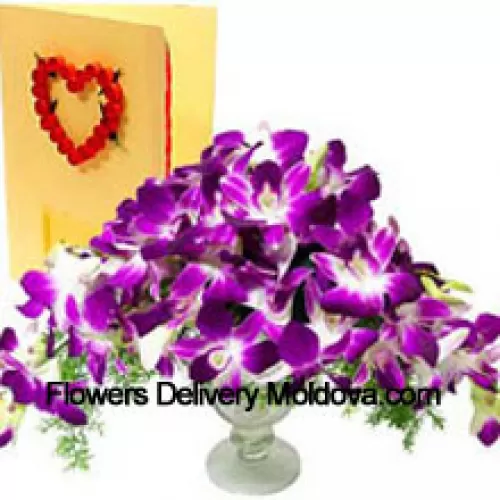 Orchidées dans un vase avec une carte de vœux gratuite (Veuillez noter que les orchidées fournies avec ce produit peuvent ne pas être en fleurs)