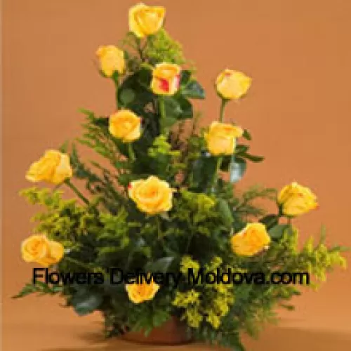 Panier de 11 roses jaunes avec des remplissages
