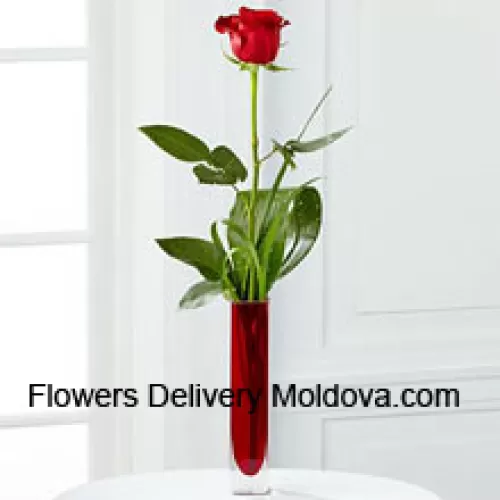 Une seule rose rouge dans un vase en tube à essai rouge (Nous nous réservons le droit de substituer le vase en cas de non disponibilité. Stock limité)